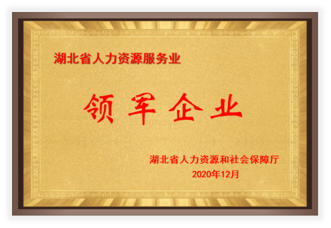 湖北省人力资源服务业领军企业