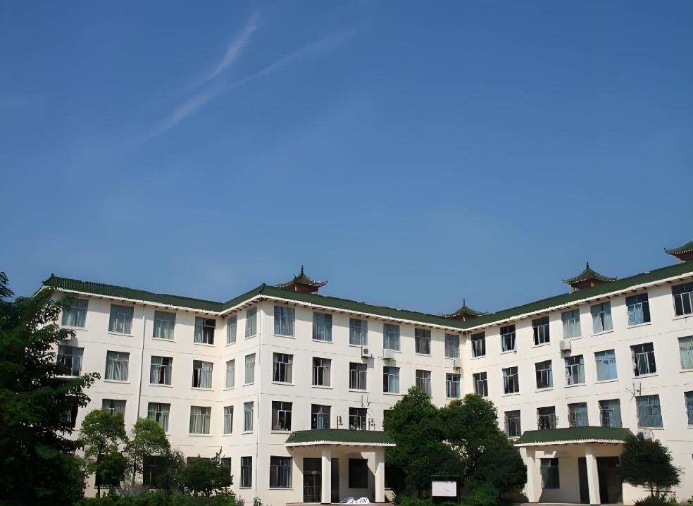 图片7